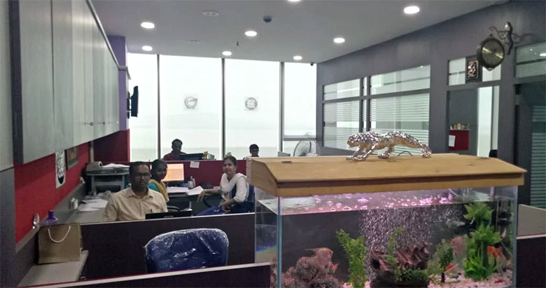 GG Marine Containers